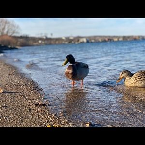 Meet your Posher, Jeff